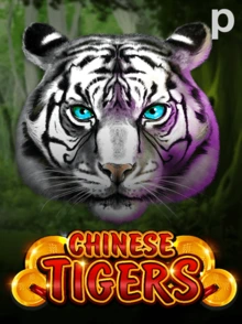 Chinese Tigers